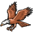 Aguila calzada